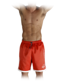 EMPORIO ARMANI - Italian Swimmers Surf Shorts