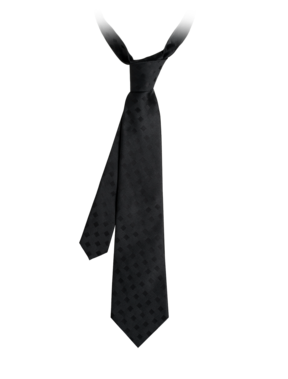 Emporio Armani More accessories - Tie