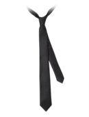 EMPORIO ARMANI - Horizontal Stripe Tie