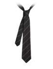 Tie with EA and eagle logo