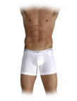 /item/db/1/m_gallery/4286/men/spring-summer/Briefs/Combed-Cotton-Boxer-Brief/tskay/3FD17CD7/gender/U/cod10/480151645C