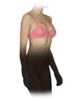 Stretch Tulle Underwire Bra